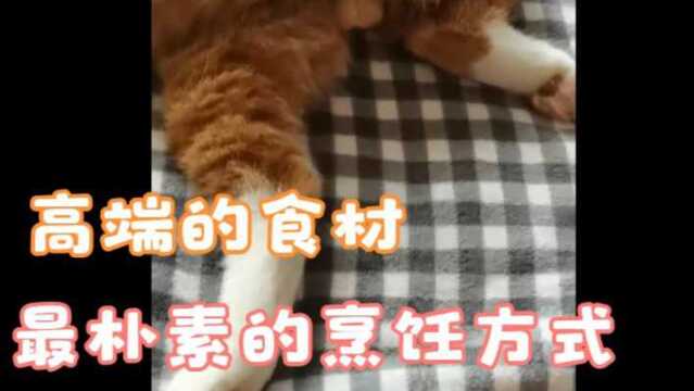 高端的食材(猪咪),往往只需要最朴素的烹饪方式