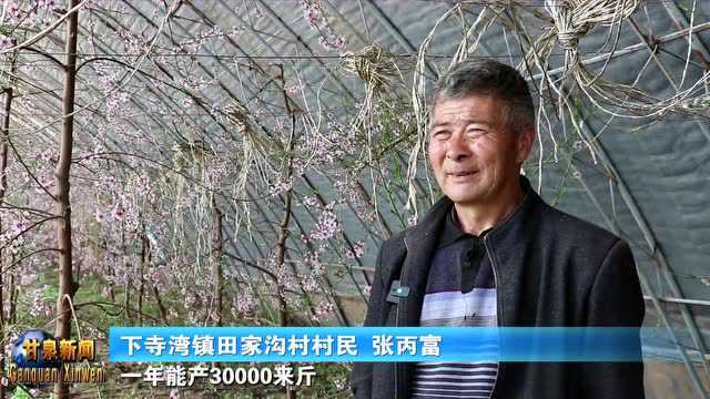 【奋进新征程 建功新时代】下寺湾镇田家沟村:旧貌换新颜 生活甜如蜜