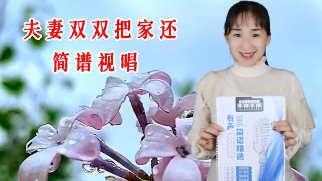 黄梅戏《夫妻双双把家还》简谱视唱,零基础学简谱,掌握音准节奏