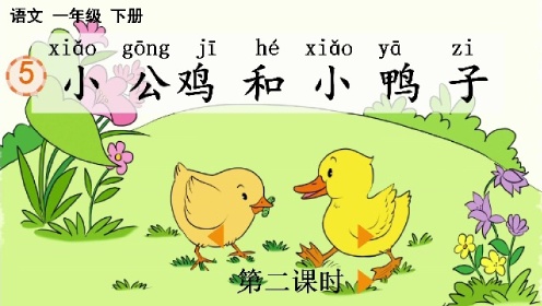 一年级语文下册《小公鸡和小鸭子》大李湾