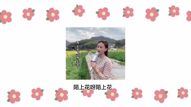 《陌上花》胡蜜丹