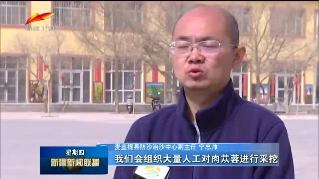 麦盖提县:把黄沙变成致富“金沙”