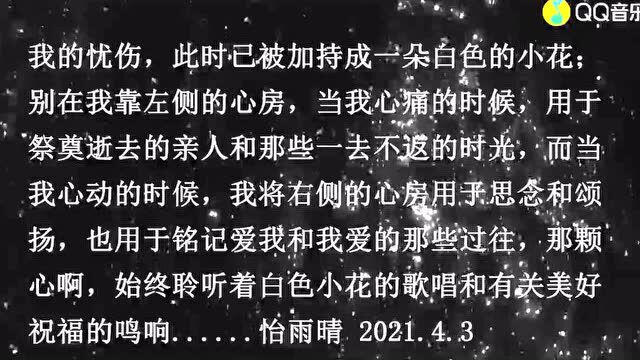 清明节,点一盏心灯,送一份思念