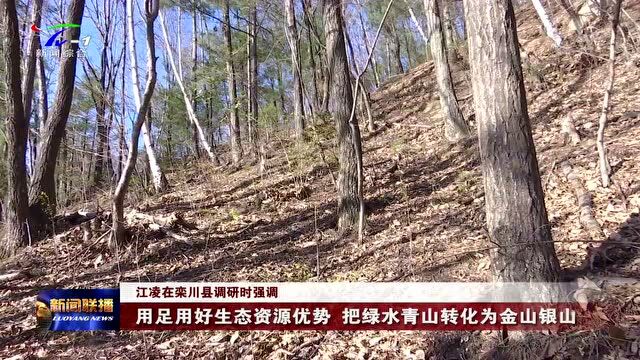 【视频】江凌到栾川县调研