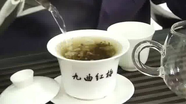 万绿丛中一点红,杭州“九曲红梅”可以尝鲜了