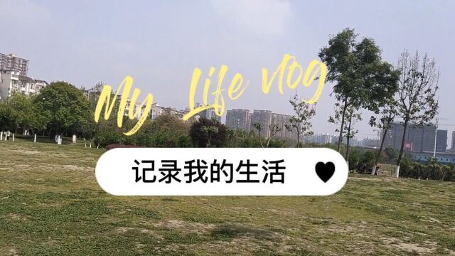 [生活vlog]简单的一天,没有令人激动的事情,但平凡的日子很珍贵