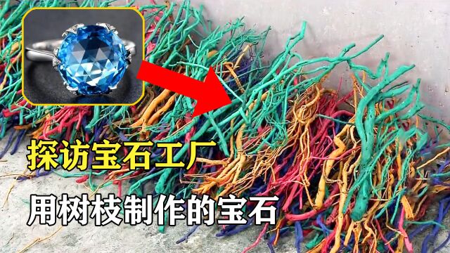 探访宝石工厂:1颗上千元的宝石,竟然是用树枝制造的