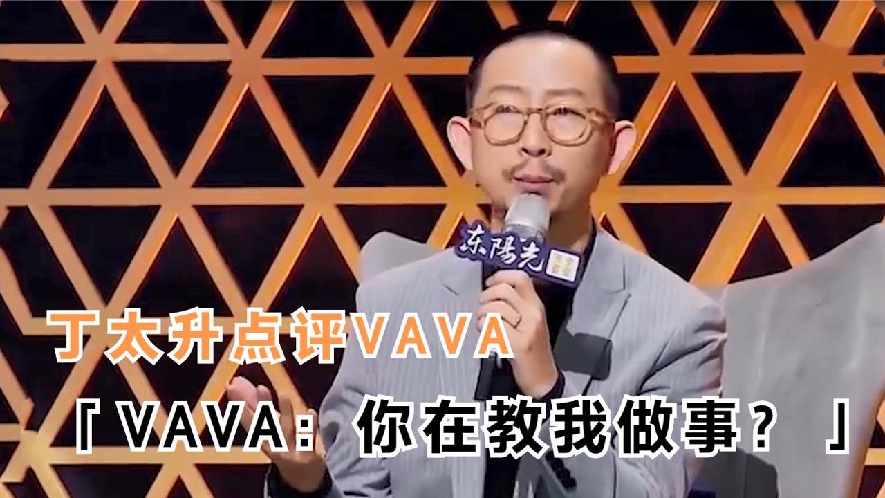 vava怼丁太升图片