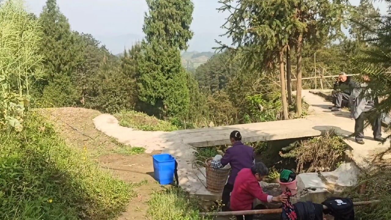 四川達州:萬家鎮山卡卡里的農村,能居住在這裡的人太舒服了