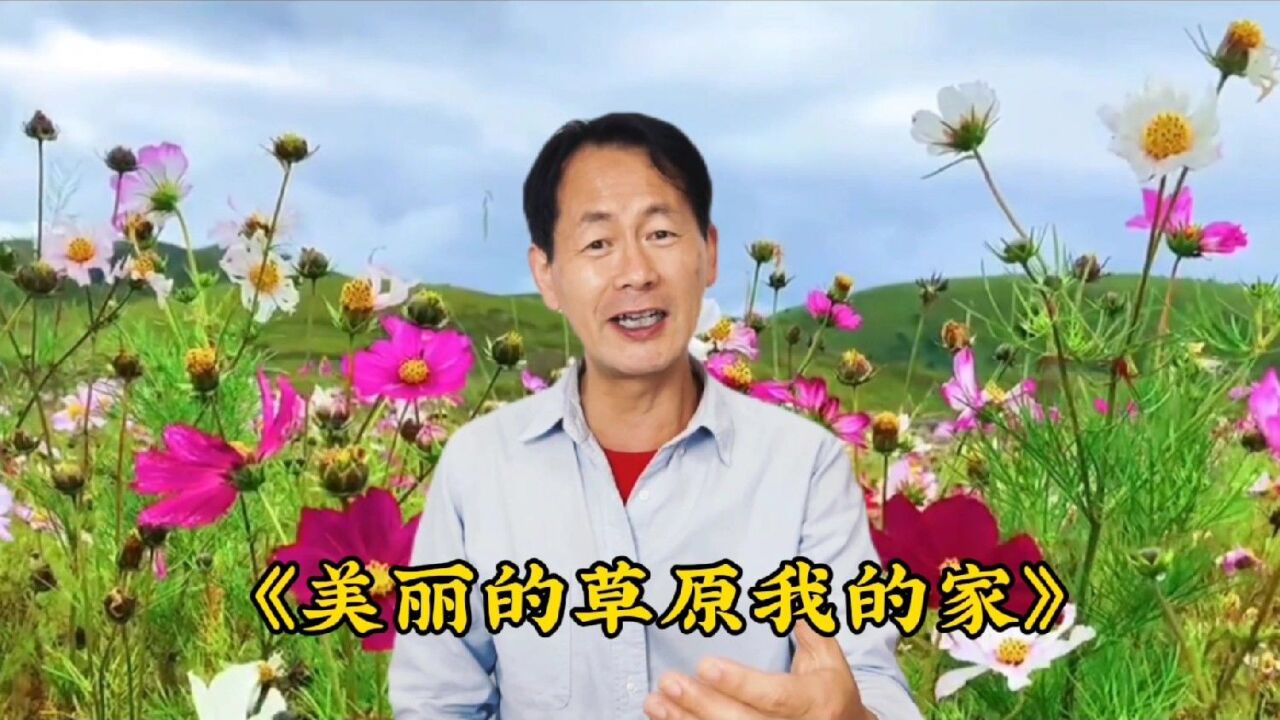 經典老歌《美麗的草原我的家》,懷舊歌曲翻唱,歌聲優美動聽動人心絃