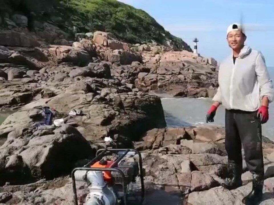 福建兄弟赶海，抽干孤岛上的“海王坑”，渔获多到两个人都抓不过来_腾讯视频