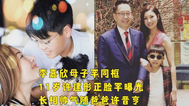 李嘉欣母子罕同框,11岁许建彤越长越像许晋亨,五官帅气十分绅士