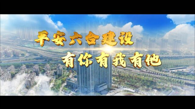 2021年“平安六合”建设工作交出高分答卷