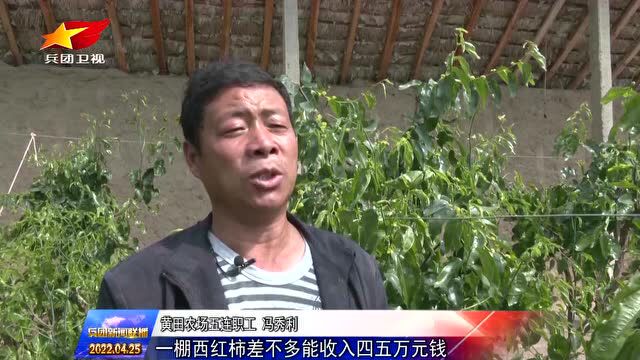 设施农业提质提效助力乡村振兴