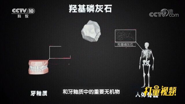 羟基磷灰石既是一种天然矿物,也是人体中的重要无机物