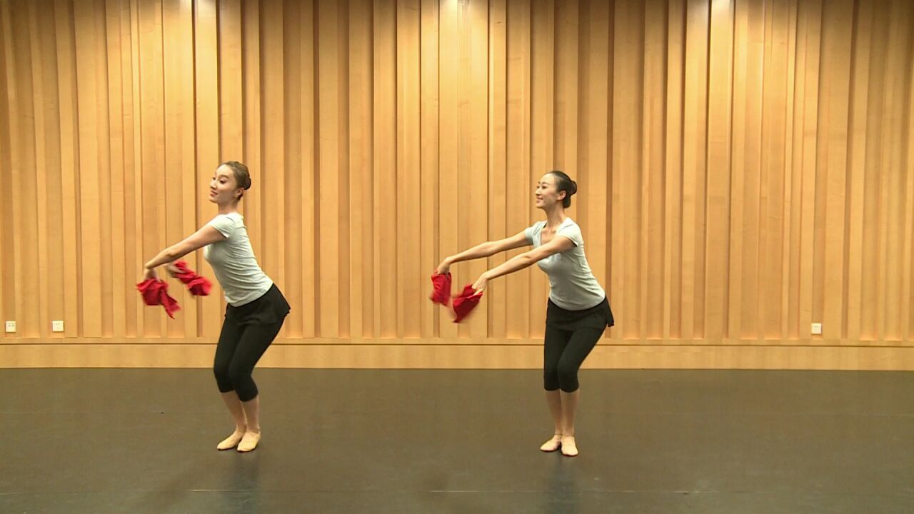 舞蹈家协会少儿舞蹈考级第五级:农家小女孩