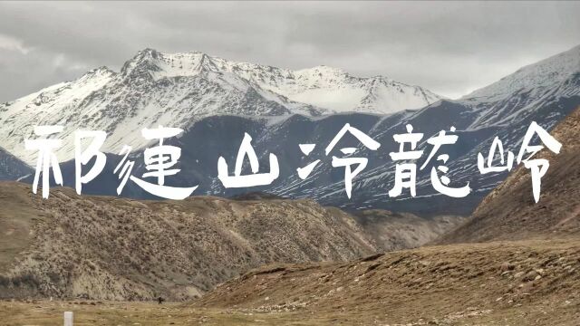 骑行祁连山冷龙岭,爬错山头误打误撞,拍到国家野生二级保护动物