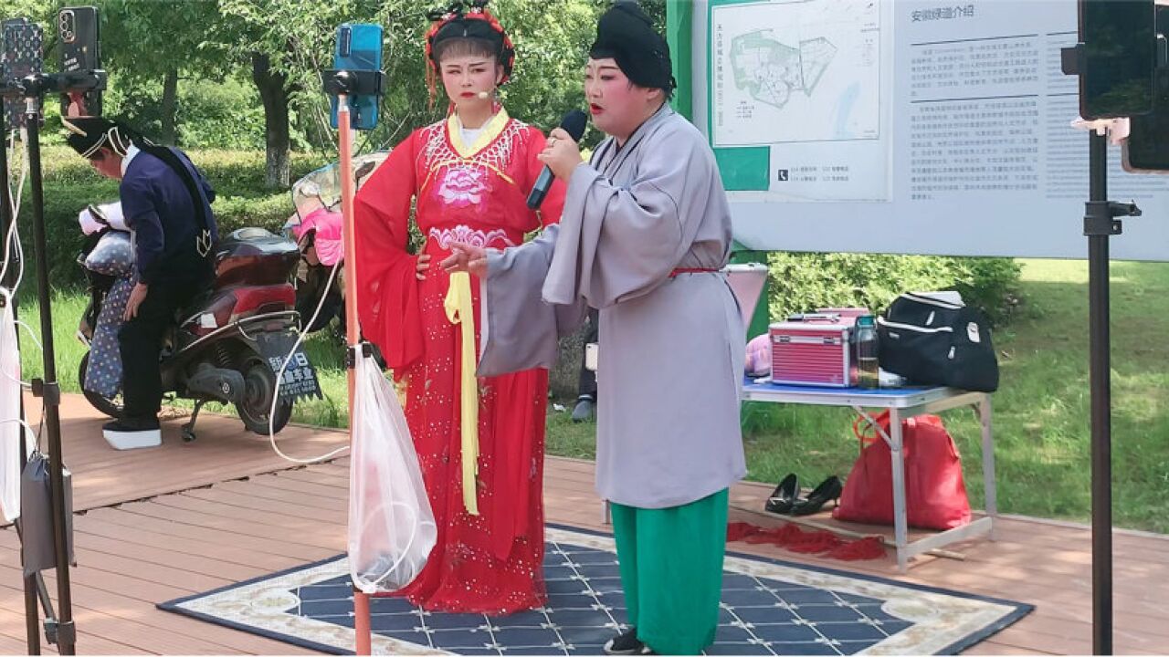 庐剧《冲喜状元·二小姐谭银花悔婚》选段:庐剧之乡无为市城南公园