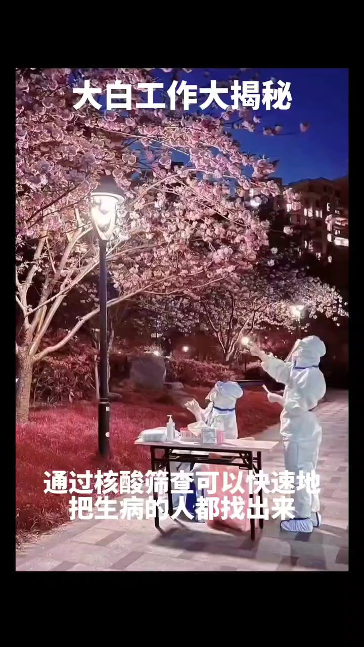 大白_高清1080P在线观看平台_腾讯视频