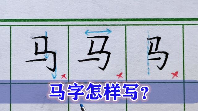 马字怎样写好看?懂得书写规律,轻松写好“乌、马、鸟”类型的字