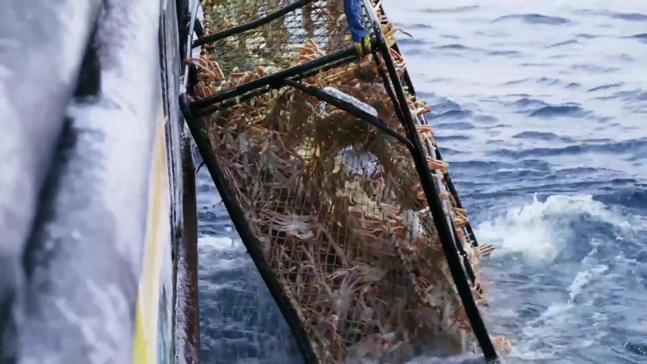 恶海捕蟹记 渔船出海捕蟹几经挫折以后,蟹笼获得丰收完成任务