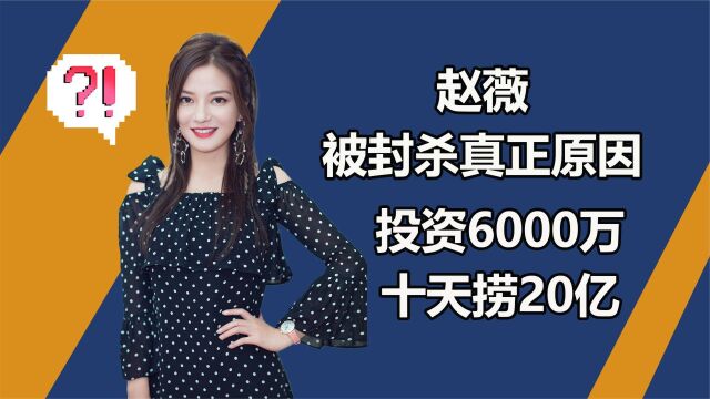 赵薇被封杀的真正原因!投资6000万十天捞20亿, 台前幕后相差很大