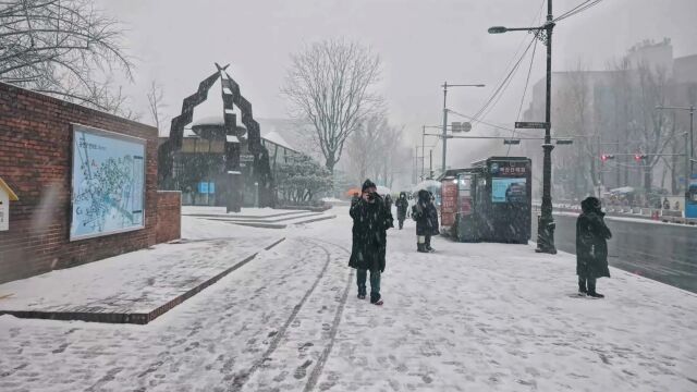 城市街道下雪雪景视频素材 (24)