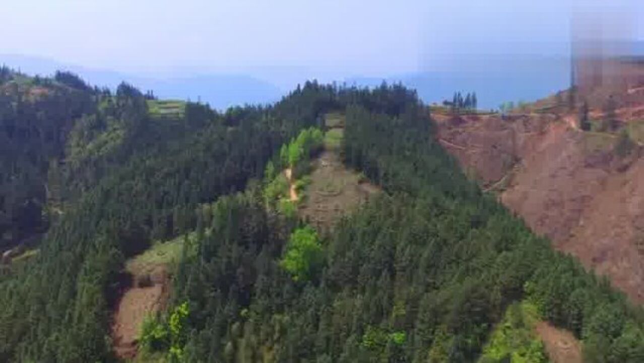 此山青龍轉案,華蓋為朝,是塊風水寶地,重金難求的上上風水之地