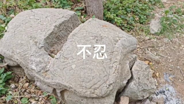 山东荒野里600年玄真观遗址,为什么很多人都回避它,一问三不知