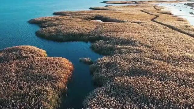 我国首批“天气气候景观观赏地”出炉,阿拉善上榜的是……