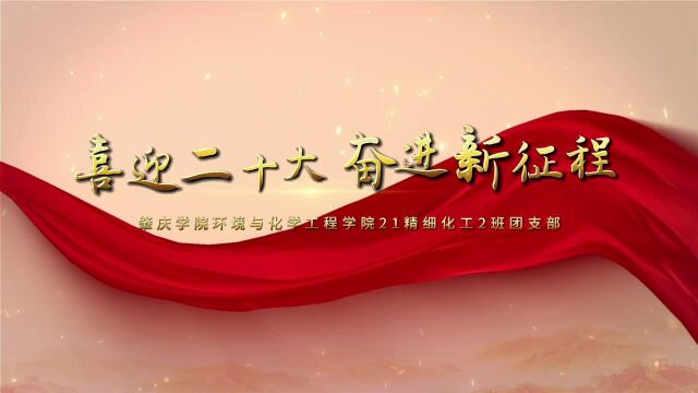 肇庆学院环境与化学工程学院21级精细化工2班团支部