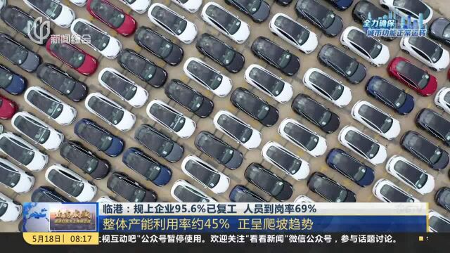 临港:规上企业95.6%已复工 人员到岗率69%