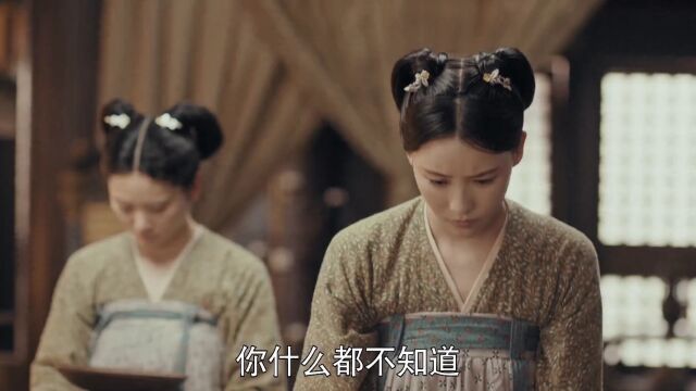 小侍女彻底黑化,攀附上了大将军