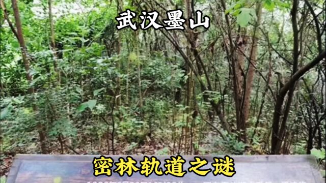 武汉墨山密林轨道之谜