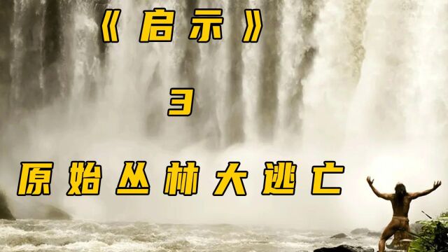 《启示》关于玛雅文明兴衰和没落的启示电影#启示#原始人#冒险