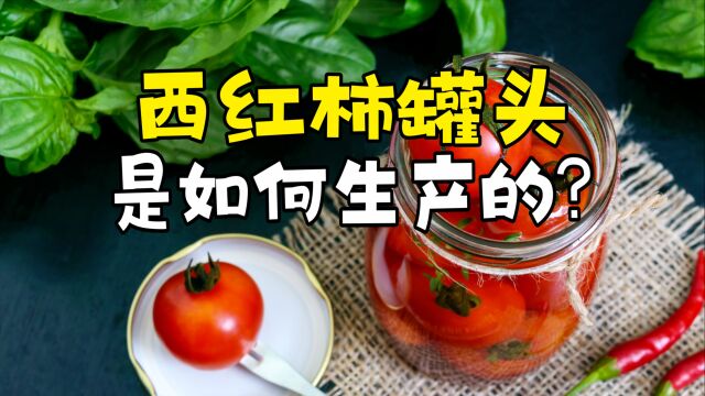 西红柿罐头是如何生产的?先将西红柿清洗3遍,再切成2厘米的小块