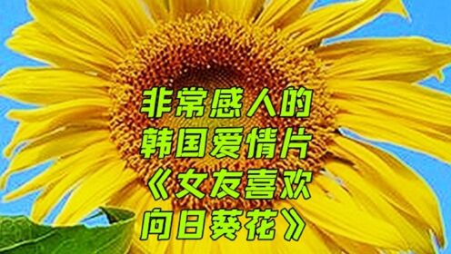 非常感人的韩国爱情片《女友喜欢向日葵花》