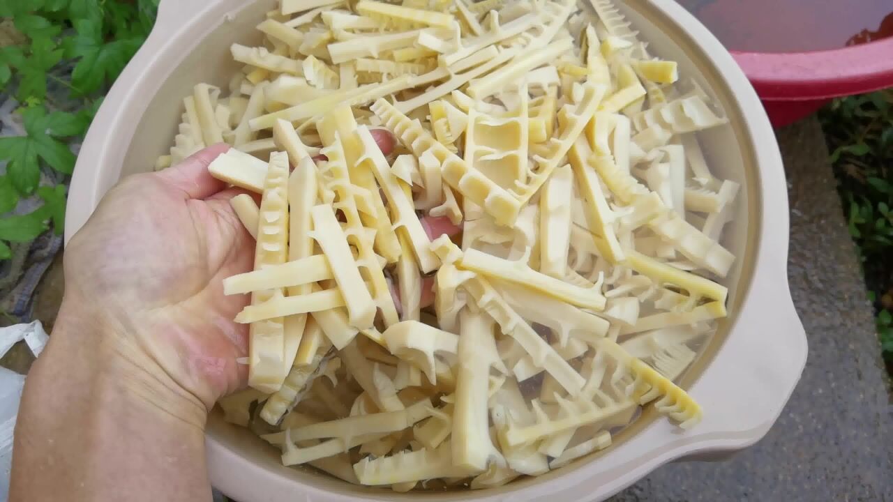 夏季新鲜嫩竹笋,搞一蛇皮袋子回家,处理好晒干怎样都好吃