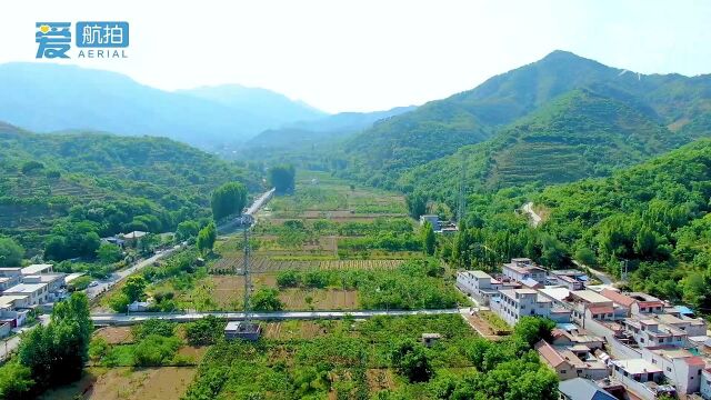 济南南部山区樱桃