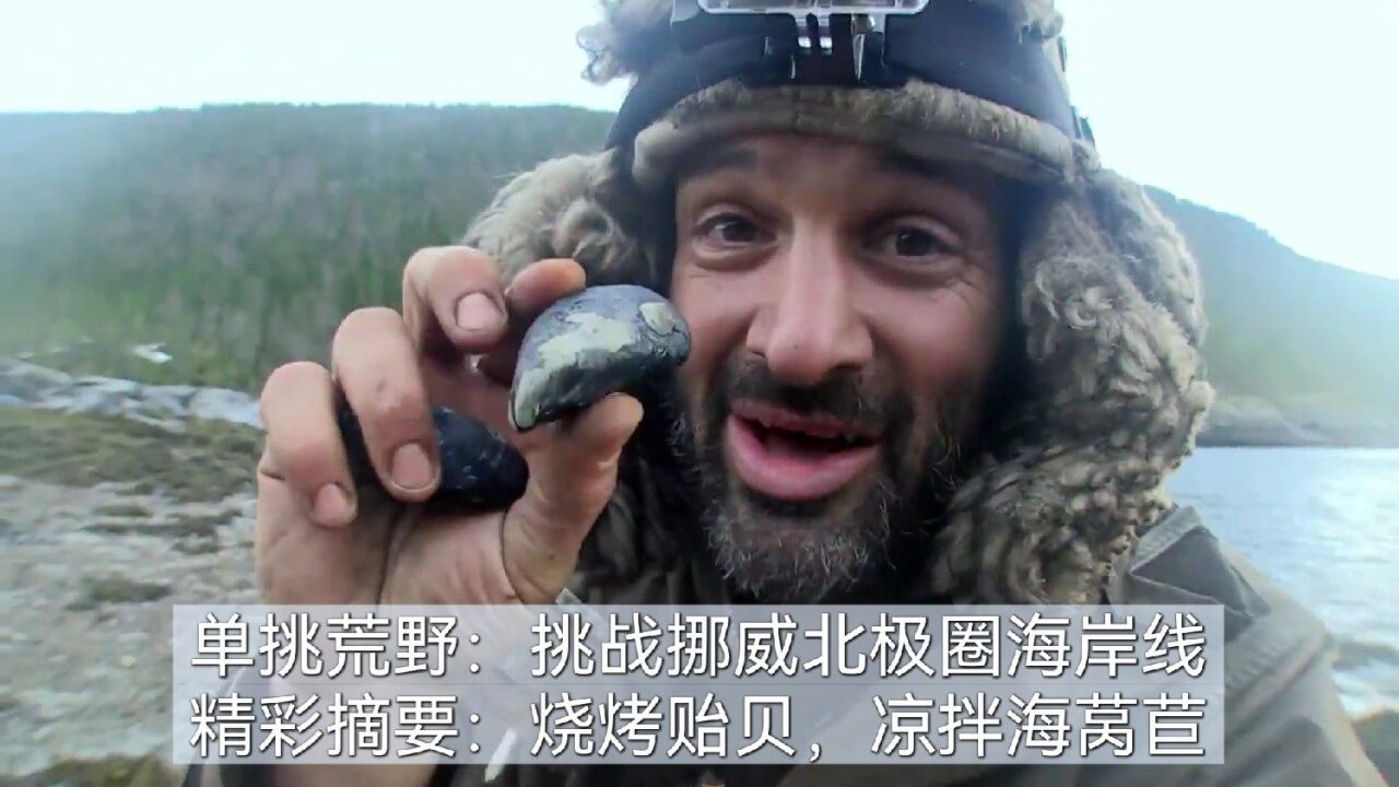 德爷挑战挪威雪原,烧烤肥美贻贝,海莴苣,烤海草,吃的不亦乐乎