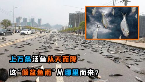 好大一场“鱼雨”!上万条活鱼凭空出现,它们从哪里跑来?_高清1080P在线观看平台_腾讯视频