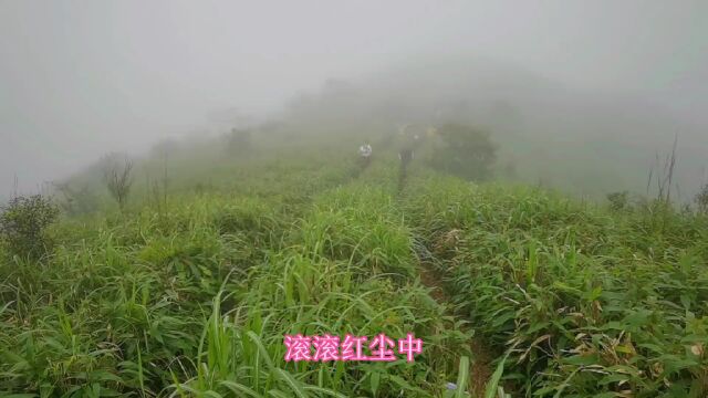 宁波有座山,不高又不大,可是事故接连发生