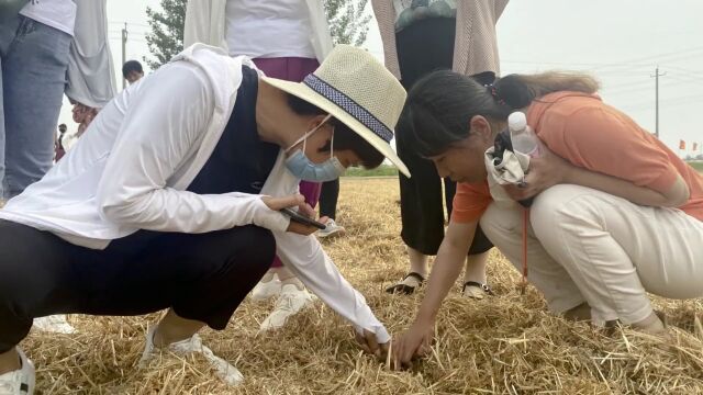 禹城市妇联开展“巾帼科技助农直通车”活动