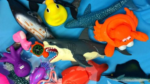 介绍卡通海洋动物玩具