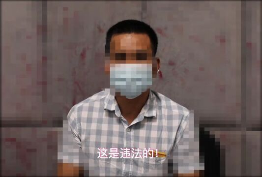 视频|阳西县5名网民造谣被抓!