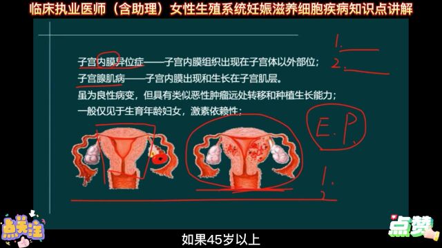 临床执业医师(含助理)女性生殖系统妊娠滋养细胞疾病知识点讲解