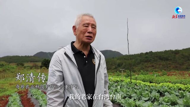 全球连线|助力台商做“扎根泥土的种子”