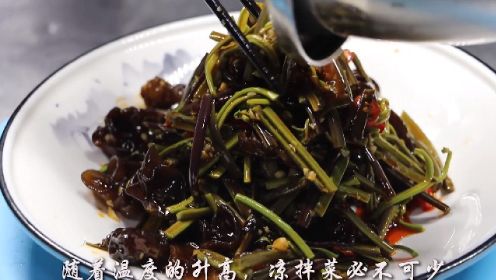 蕨菜怎么做好吃厨师长教你“凉拌蕨菜”做法，爽口又开胃热天必备