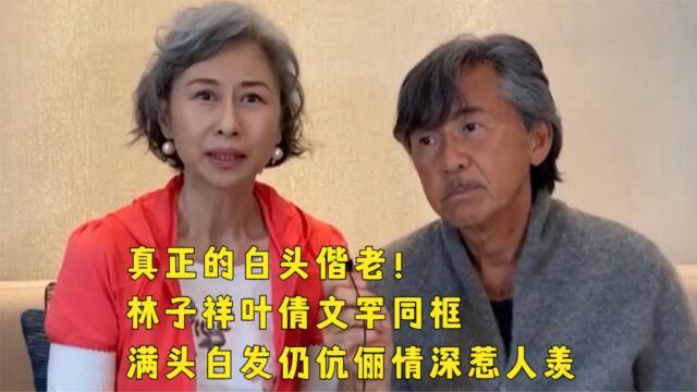 真正的白头偕老!林子祥叶倩文罕同框,满头白发仍伉俪情深惹人羡