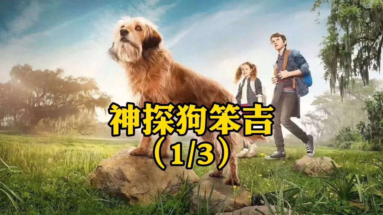 (1/3)让人感动的流浪狗笨吉,你养我一天,我用一辈子来报答!_高清1080P在线观看平台_腾讯视频